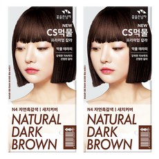 꽃을든남자 CS먹물 프리미엄 칼라크림 염모제, N4 자연흑갈색, 2개