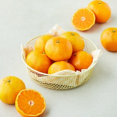 당도선별 10brix 감귤 점보과, 1개, 3kg