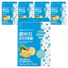 데이앤 콤부차 파인애플 30p, 5g, 30개입, 5개