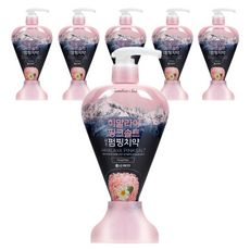 히말라야핑크솔트 담은 펌핑치약 플로럴, 285g, 6개