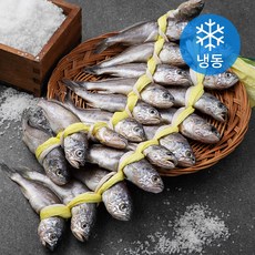 곰곰 국내산 굴비 20미 (냉동), 1.2kg, 1개