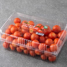 다조은 GAP 스마트팜 캔디 토마토, 1.5kg, 1팩