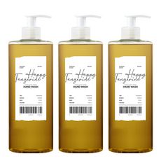 Mimi Lorinth Moment Plant Hand Wash Happy Tangerine, 500ml, 3個