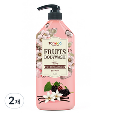 탐사 촉촉한 후르츠 바디워시, 900g, 2개 900g, 2개