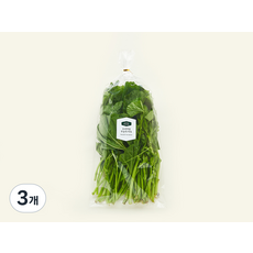 프리미엄 무농약 아욱, 300g, 3개