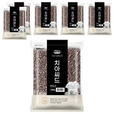 더담은 치아씨드, 500g, 6개