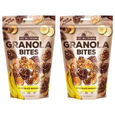 이스트발리캐슈 바이트 초콜렛 바나나 그래놀라 시리얼, 125g, 2개