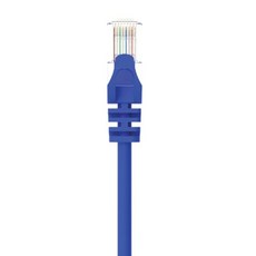 POLYWELL 寶利威爾 CAT6 高速網路線 RJ45 福祿克認證 PW15-W58-C400, 40m, 藍色, 1條