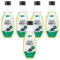 비단식당 저칼로리 알룰로스, 510g, 5개