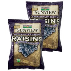 썬뷰 유기농 건포도 스낵팩, 2개, 198g