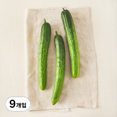 국내산 친환경 오이, 3개입, 3개