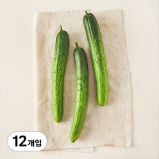 국내산 친환경 오이, 3개입, 4개