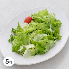 팜에이트 친환경 후레쉬가든샐러드, 500g, 1개, 5개, 500g