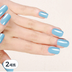 데이소이 베이직 컬러 젤 네일 스티커 11종 x 2p 세트, 14 컬러, 2세트