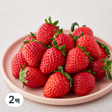 다미팜 설향딸기 중과, 500g, 2팩