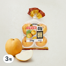 다복 당도선별 추황배 4~6개입, 3개, 2kg
