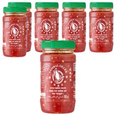 플라잉구스 칠리 갈릭 소스, 245g, 6개