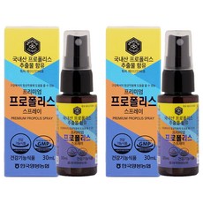 한국양봉농협 프리미엄 프로폴리스 스프레이, 30ml, 2개
