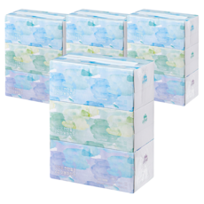 comet 原生紙漿雙層面紙, 180張, 12盒