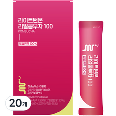 라이트턴온 리얼 콤부차 100 히비스커스 라임맛, 20ml, 10개입, 2개