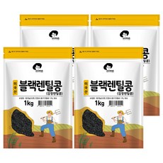 엉클탁 미국산 블랙렌틸콩 검정렌틸콩, 1kg, 4개