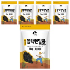 엉클탁 미국산 블랙렌틸콩 검정렌틸콩, 1kg, 5개