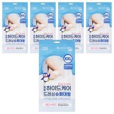 제일헬스사이언스 하이드케어 드레싱 통기성좋은 붕대 밴드, 5개, 2개입