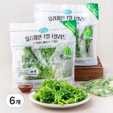팜에이트 유러피안 1일 1샐러드 with 플랜트 베이스드 드레싱, 240g, 6개