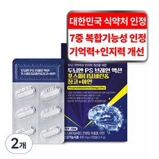 케어란스 두뇌엔 PS 브레인 액션 포스파티딜세린 징코 아연 영양제 2.4g, 2개, 6정