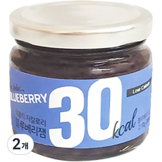 잼홀릭 저칼로리 콩포트 블루베리잼, 2개, 200g