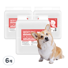 영마진 강아지 배변패드 스탠다드 20g, 100개입, 6개