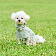 Woolly 萌萌斗篷雨衣, S/M/L/XL, 蜜桃粉/檸檬黃/薄荷綠, 1件