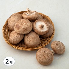 생 표고버섯, 200g, 2개