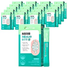 이너랩 차전자피 가르시니아 슬리밍 환, 110g, 20개