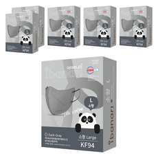 ibanari 孩童用防塵口罩 KF94 L號, 6盒, 10片, 深灰色