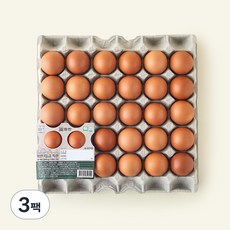 맘란 무항생제 인증 폴리페놀 나노코팅 1등급 특란 1800g, 30구, 3팩