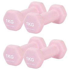 리브스포 논슬립 아령, 1kg, 4개