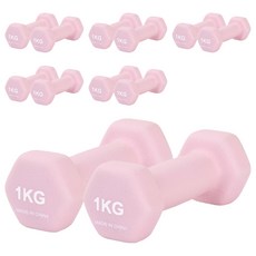 리브스포 논슬립 아령, 1kg, 12개