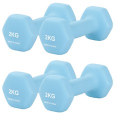 리브스포 논슬립 아령, 2kg, 4개