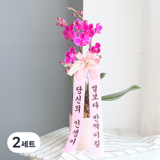 모리앤 도자기화분에 심은 만천홍 + 별보다 반짝이길 리본 세트, 혼합색상, 2세트