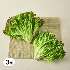 친환경 포기상추, 250g, 3개