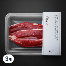 전통참한우 1+등급 사태 국거리 수육용 (냉장), 3개, 300g