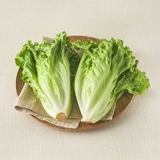친환경 포기로메인, 300g, 1개