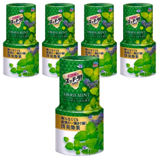 EARTH 地球製藥 室內除臭芳香劑 草本薄荷香, 400ml, 5瓶