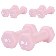 리브스포 논슬립 아령, 1kg, 6개
