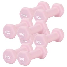리브스포 논슬립 아령, 1kg, 8개
