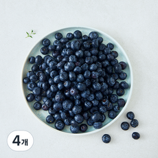 수플린 미국산 블루베리, 4개, 500g