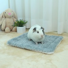 딩동펫 소동물 포그닝 도톰 매트 S, 그레이, 1개