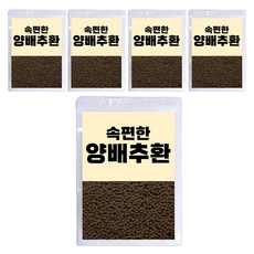 비니플랑센 속편한 양배추환, 300g, 5개