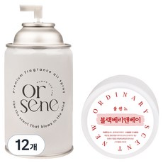 올센느 프리미엄 니치향수 방향제 자동분사기 리필 캔 블랙베리앤베이, 250ml, 12개, 블랙베리앤 베이